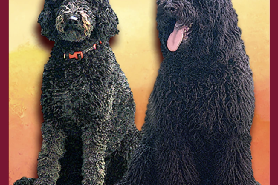 Welcome Pups Blog Image