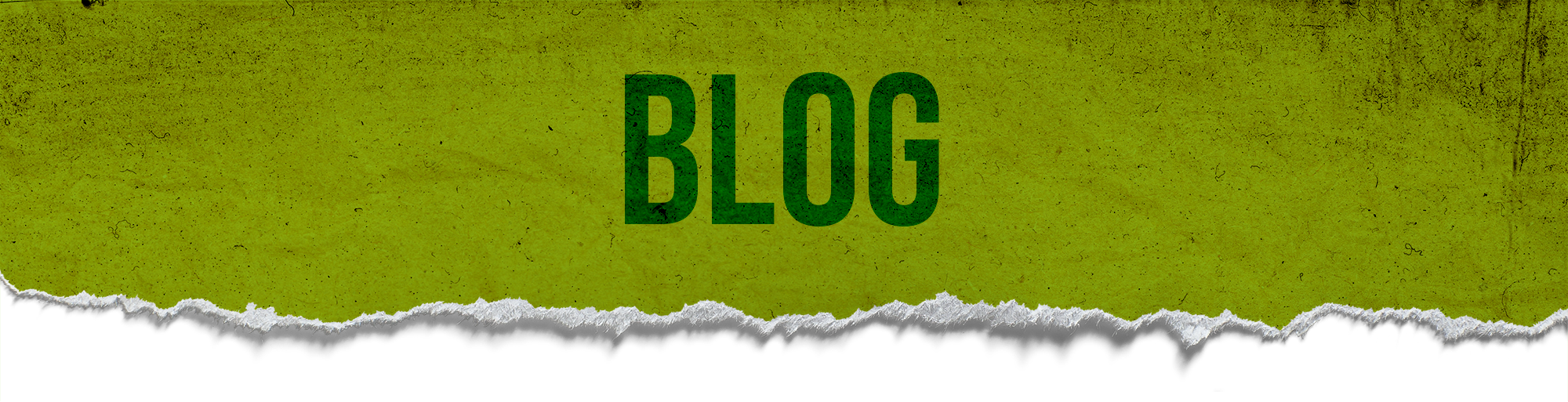 Blog Page Header