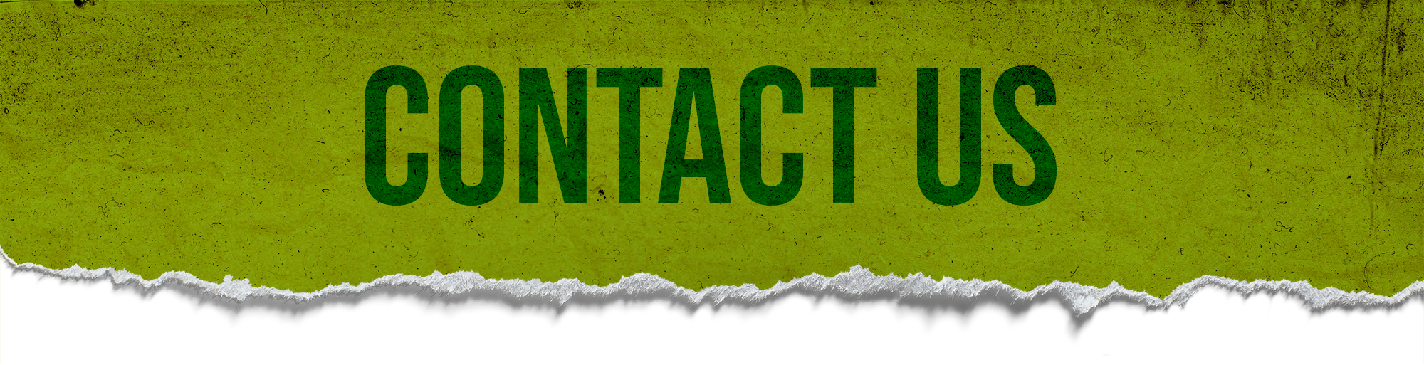 Contact Us Page Header